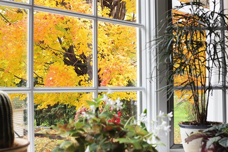 5 Tips to Improve Your Indoor Air Quality This Fall. Photo of a window in a living room or kitchen, looking out into an autumn view.